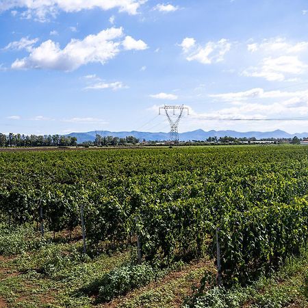 Agriturismo L'Ovile Borgo San Michele  المظهر الخارجي الصورة